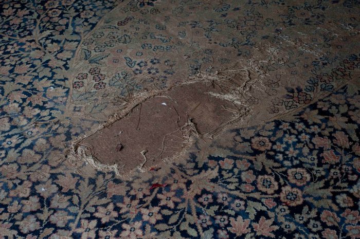 Max Colson torn carpet photography